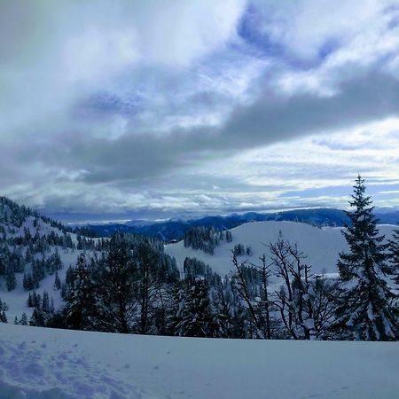 Pension Edelweiss Top 25 Gosau Dış mekan fotoğraf