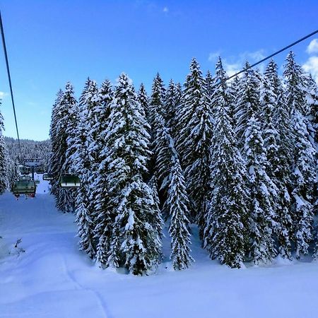 Pension Edelweiss Top 25 Gosau Dış mekan fotoğraf