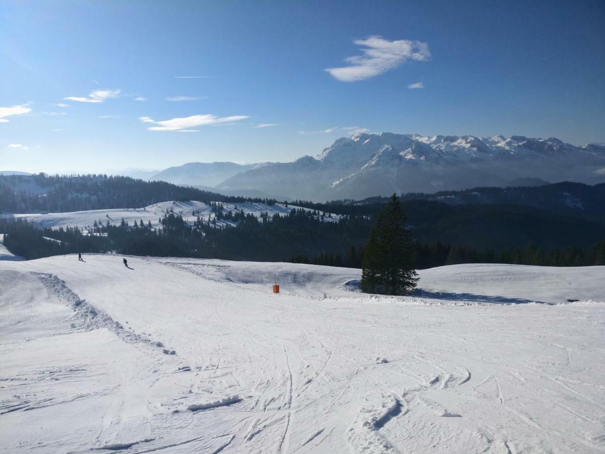 Pension Edelweiss Top 25 Gosau Dış mekan fotoğraf