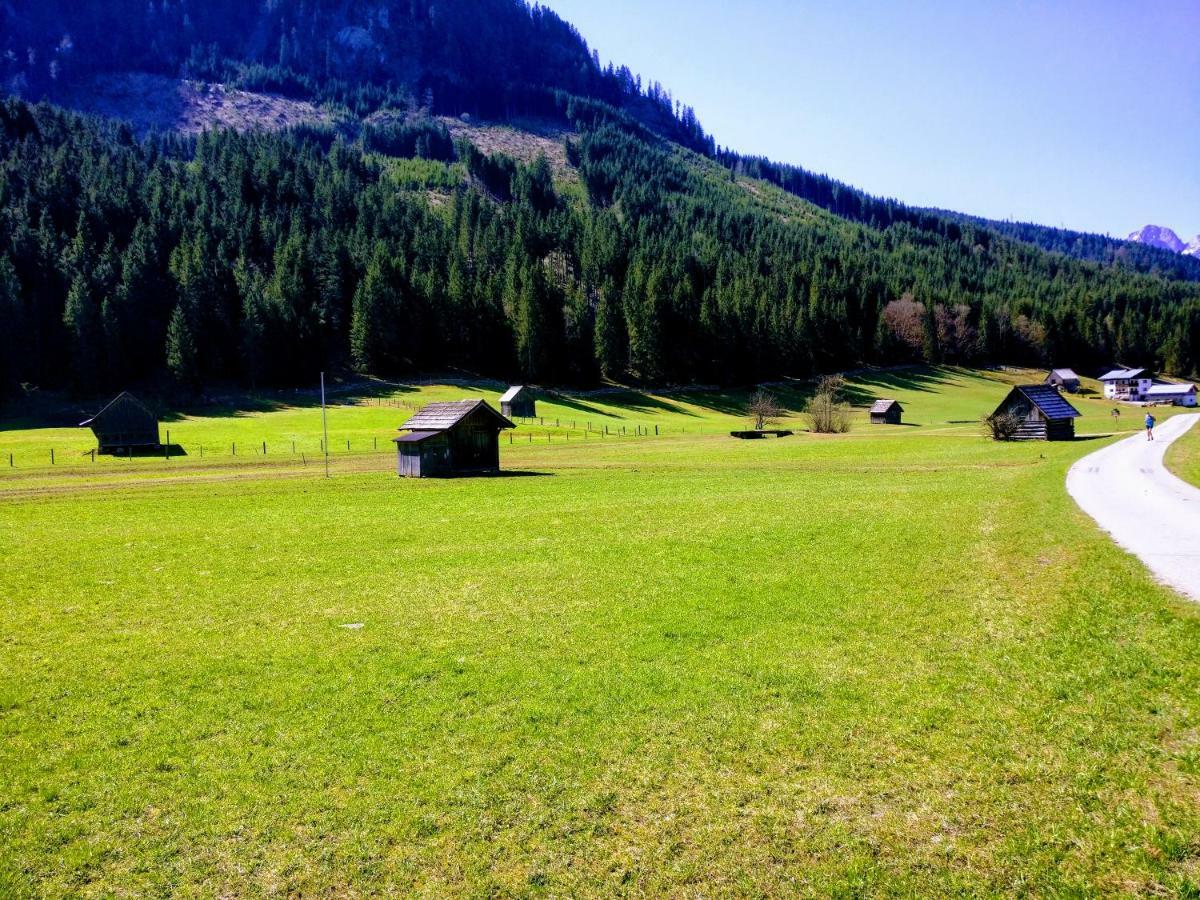 Pension Edelweiss Top 25 Gosau Dış mekan fotoğraf