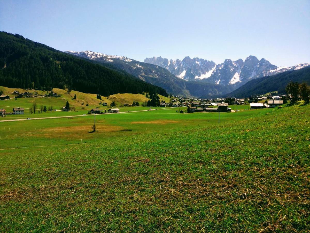 Pension Edelweiss Top 25 Gosau Dış mekan fotoğraf