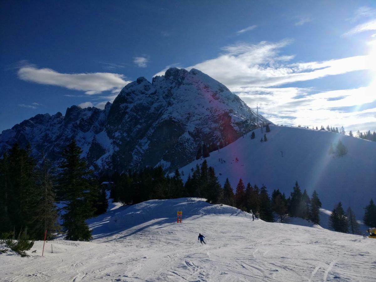 Pension Edelweiss Top 25 Gosau Dış mekan fotoğraf