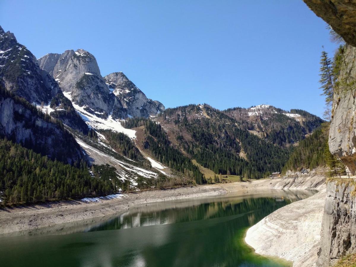 Pension Edelweiss Top 25 Gosau Dış mekan fotoğraf