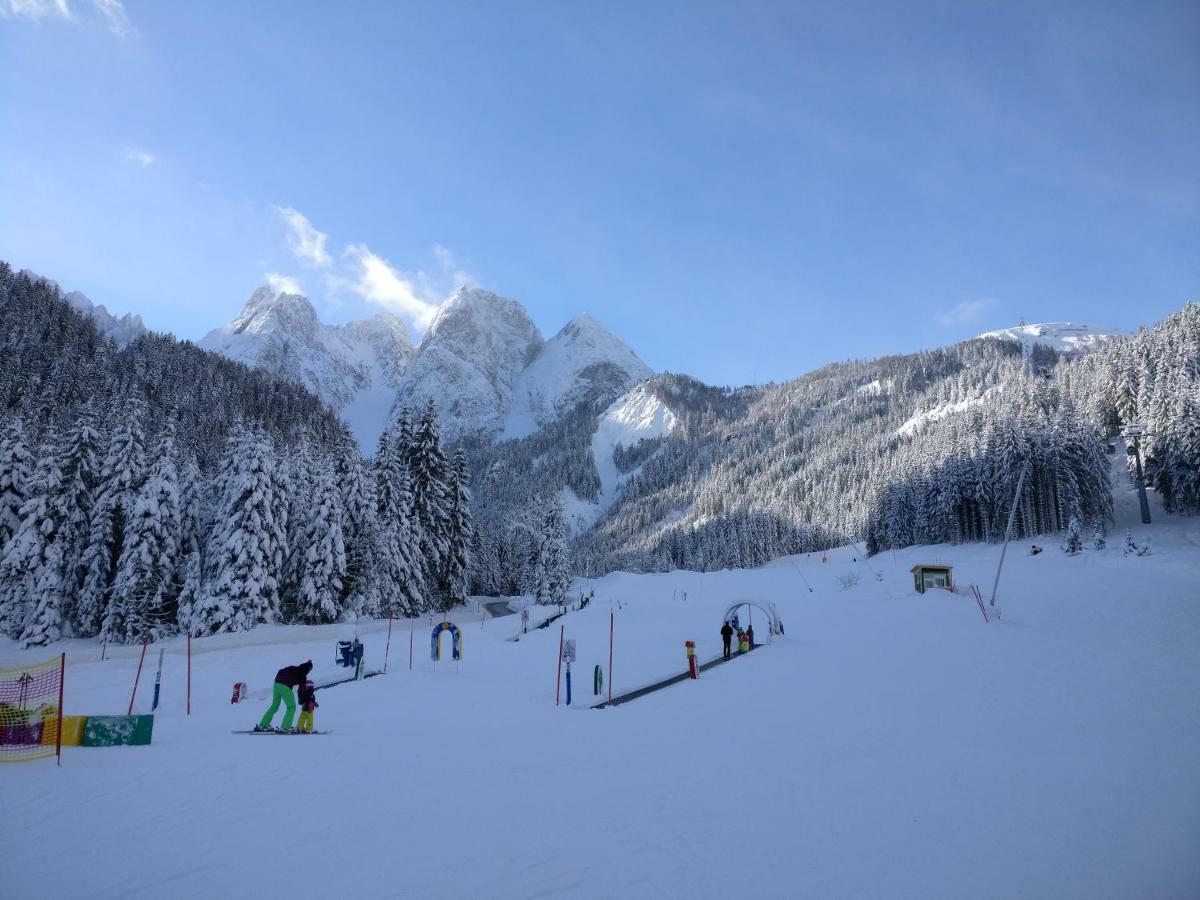 Pension Edelweiss Top 25 Gosau Dış mekan fotoğraf
