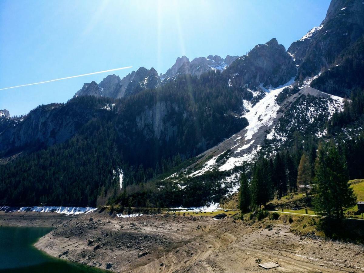 Pension Edelweiss Top 25 Gosau Dış mekan fotoğraf