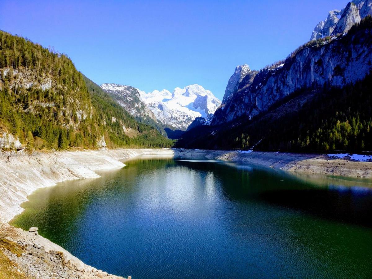 Pension Edelweiss Top 25 Gosau Dış mekan fotoğraf