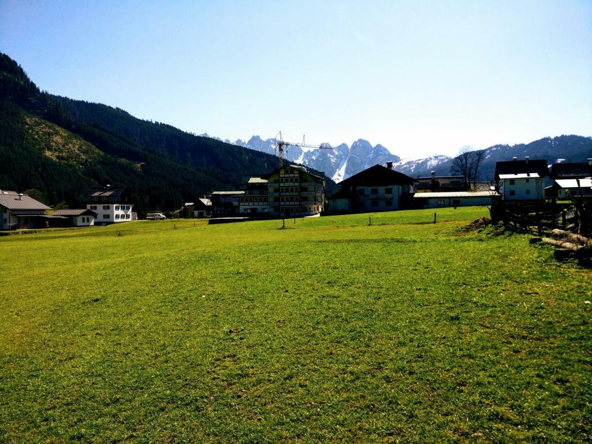 Pension Edelweiss Top 25 Gosau Dış mekan fotoğraf