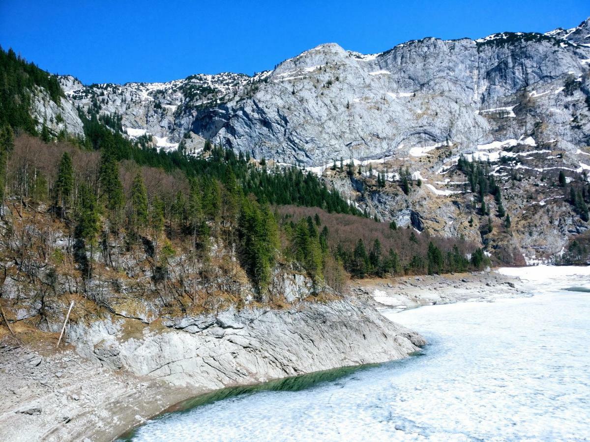 Pension Edelweiss Top 25 Gosau Dış mekan fotoğraf