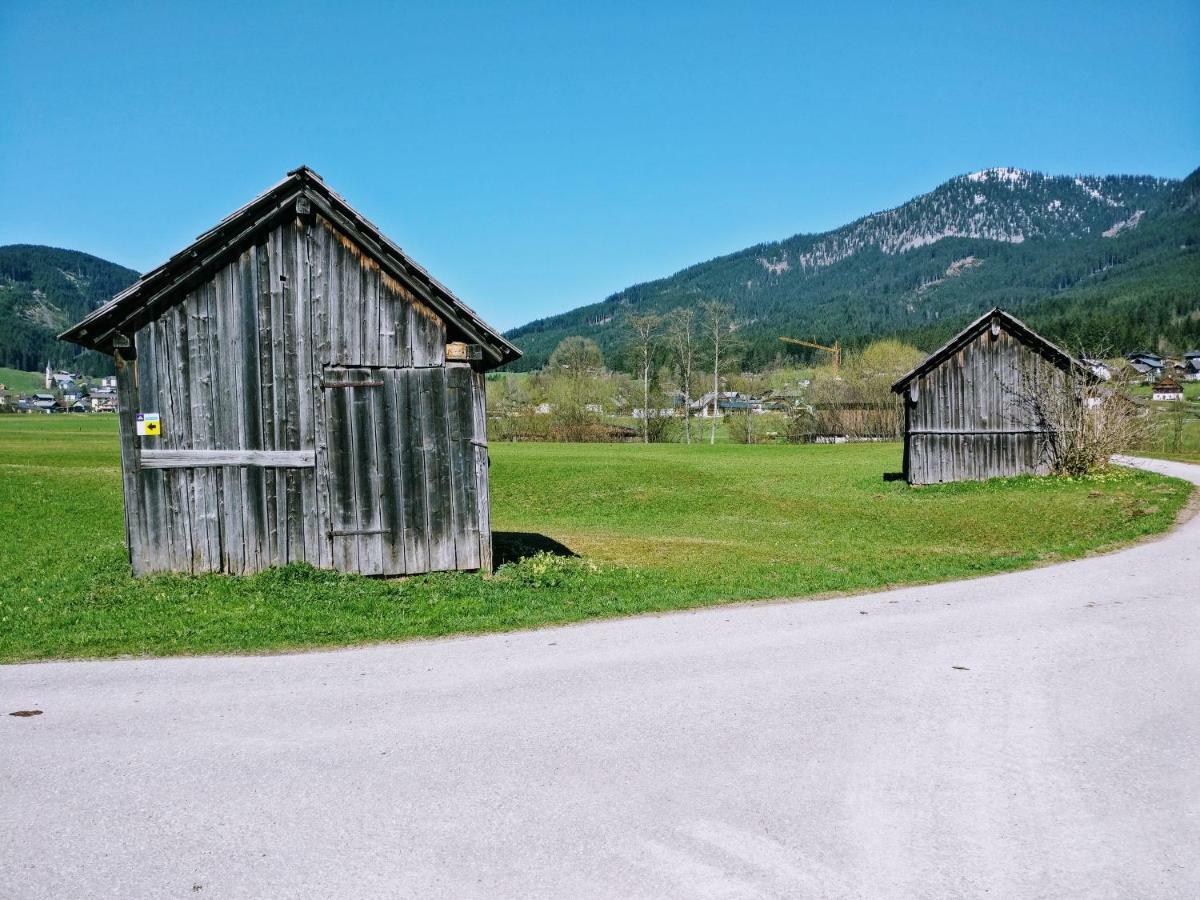 Pension Edelweiss Top 25 Gosau Dış mekan fotoğraf