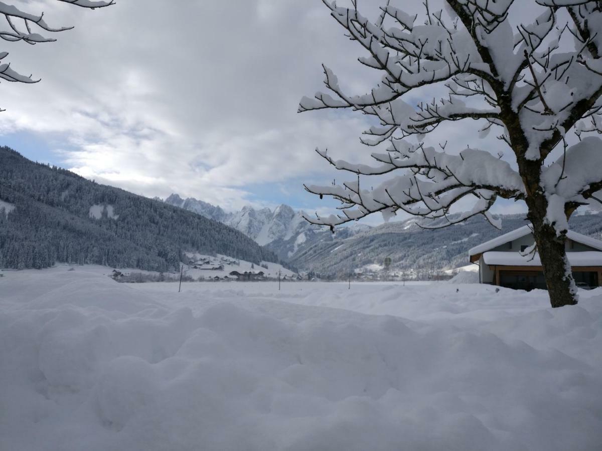 Pension Edelweiss Top 25 Gosau Dış mekan fotoğraf