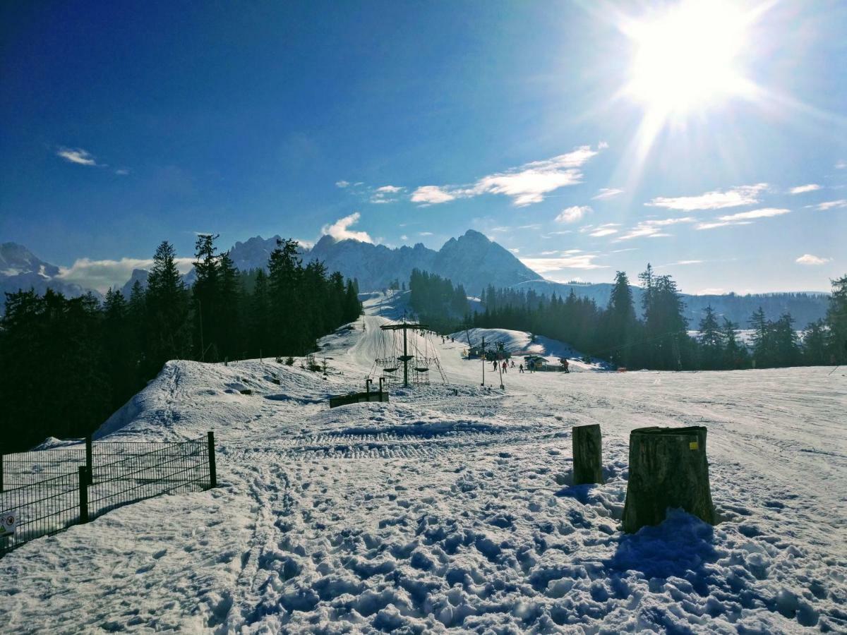 Pension Edelweiss Top 25 Gosau Dış mekan fotoğraf