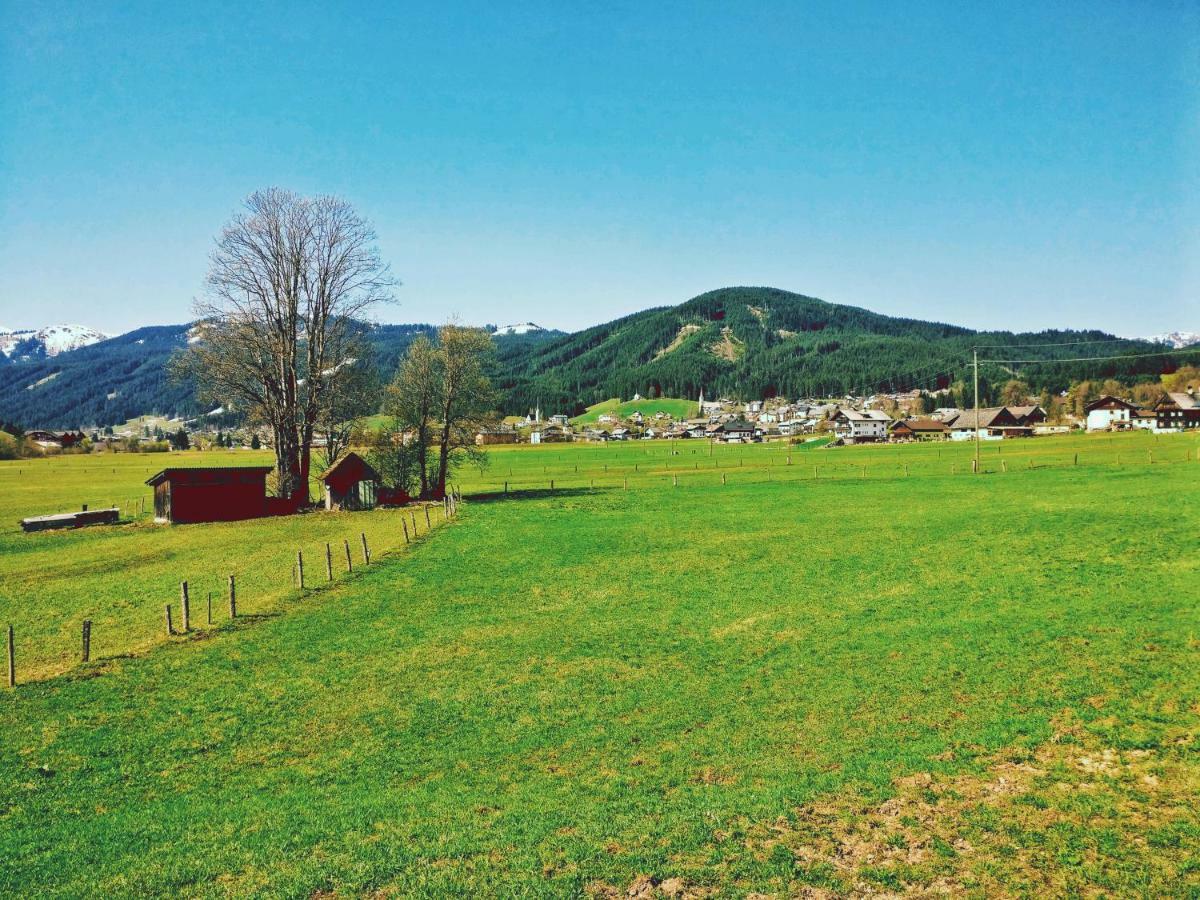Pension Edelweiss Top 25 Gosau Dış mekan fotoğraf