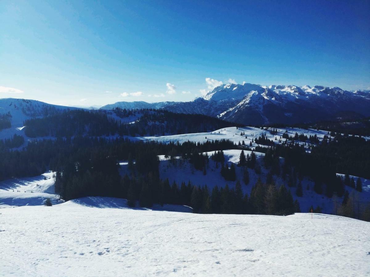 Pension Edelweiss Top 25 Gosau Dış mekan fotoğraf