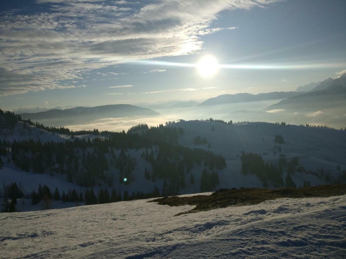 Pension Edelweiss Top 25 Gosau Dış mekan fotoğraf