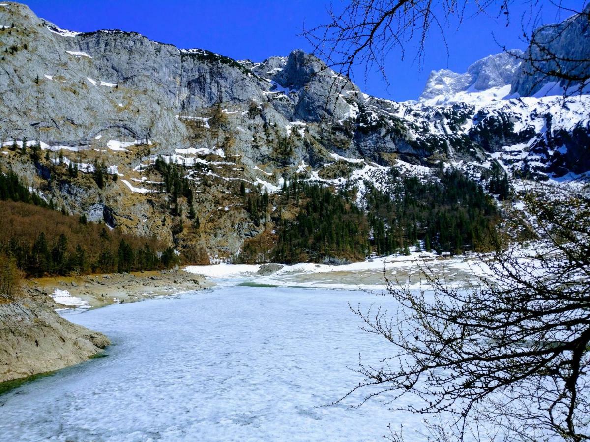 Pension Edelweiss Top 25 Gosau Dış mekan fotoğraf