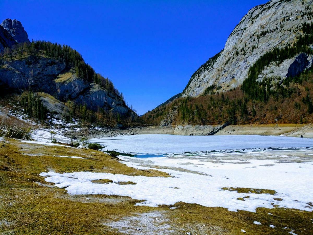 Pension Edelweiss Top 25 Gosau Dış mekan fotoğraf