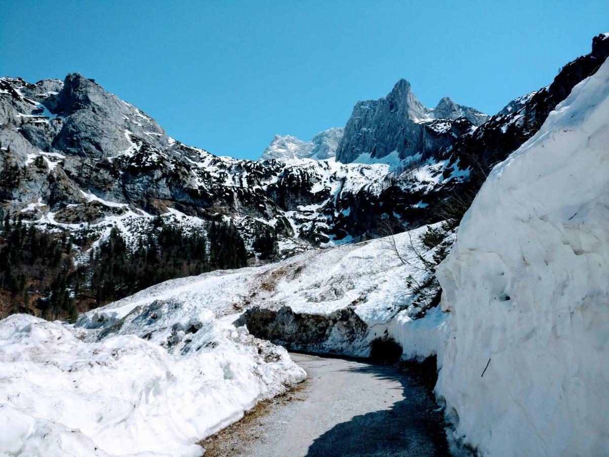 Pension Edelweiss Top 25 Gosau Dış mekan fotoğraf