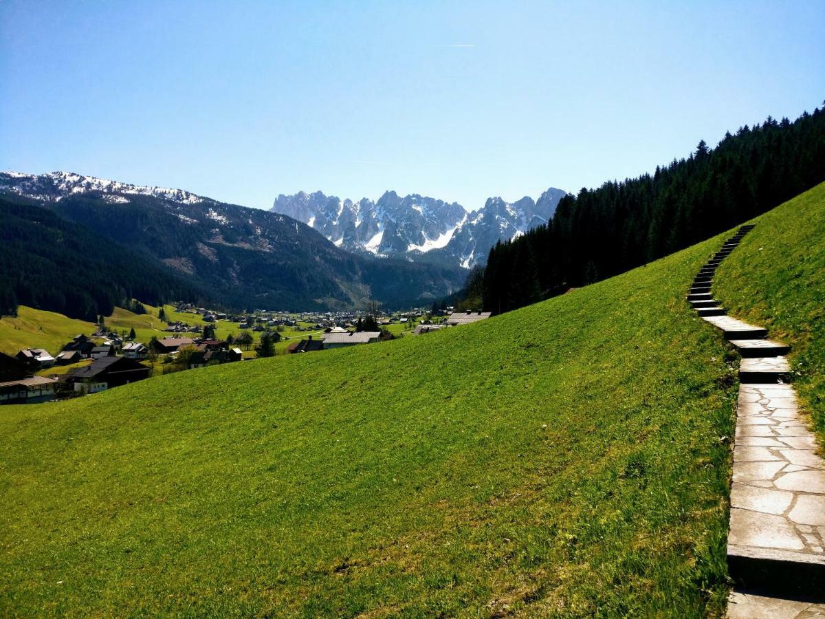 Pension Edelweiss Top 25 Gosau Dış mekan fotoğraf