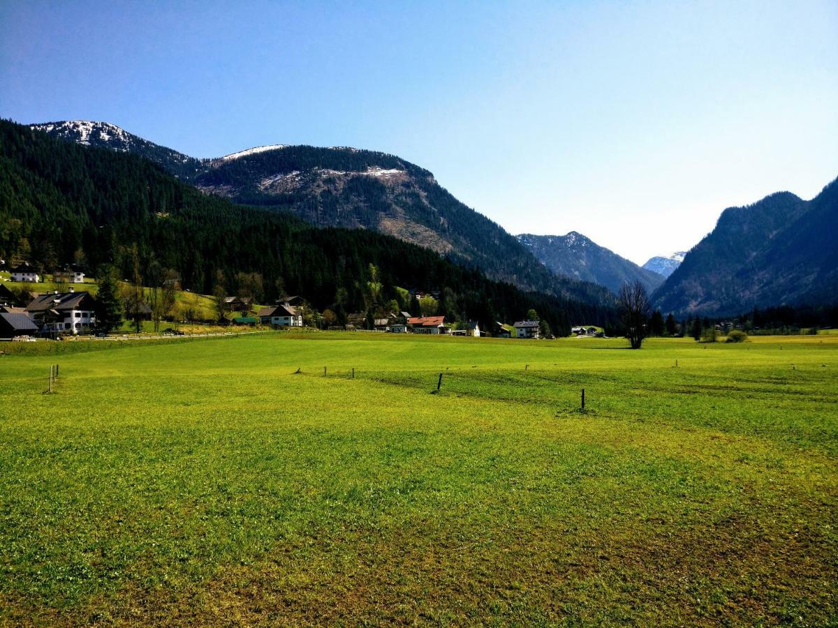Pension Edelweiss Top 25 Gosau Dış mekan fotoğraf