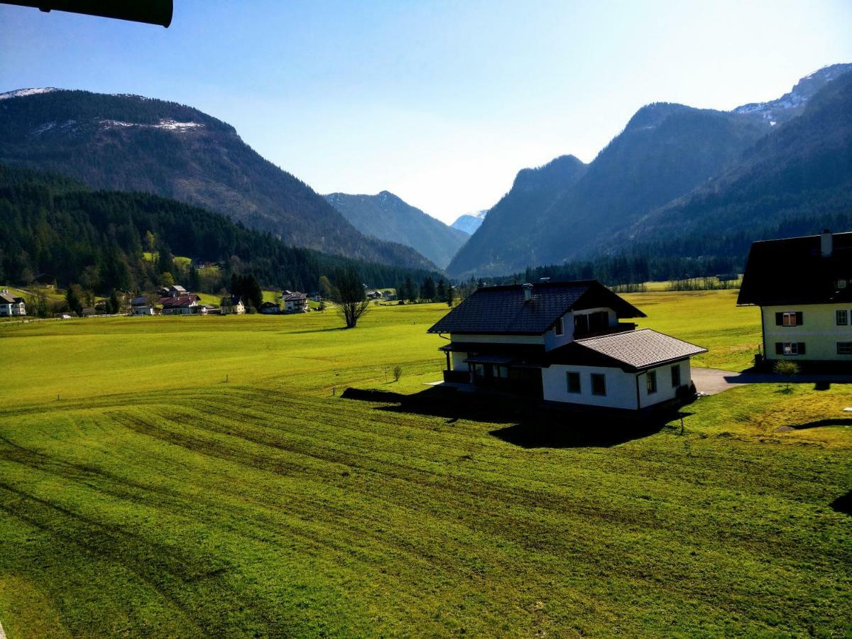 Pension Edelweiss Top 25 Gosau Dış mekan fotoğraf