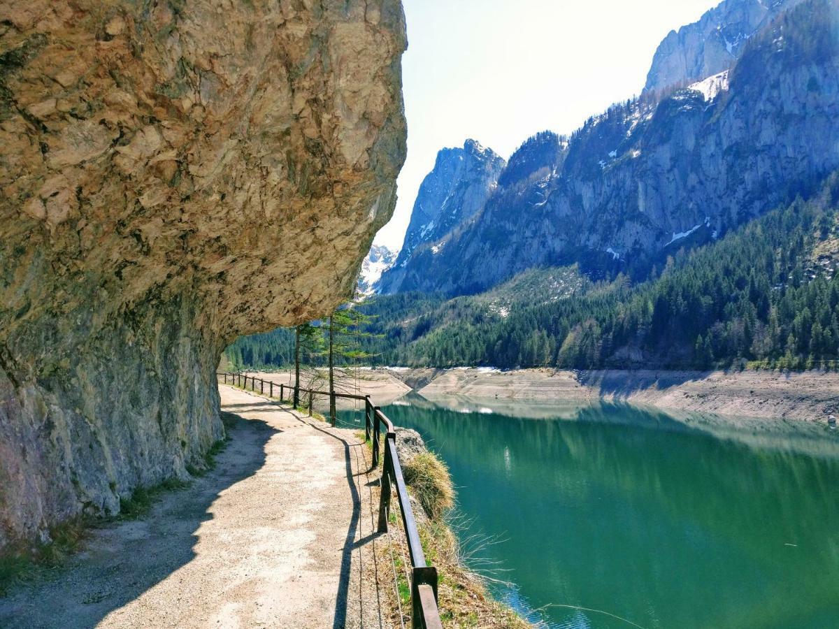 Pension Edelweiss Top 25 Gosau Dış mekan fotoğraf