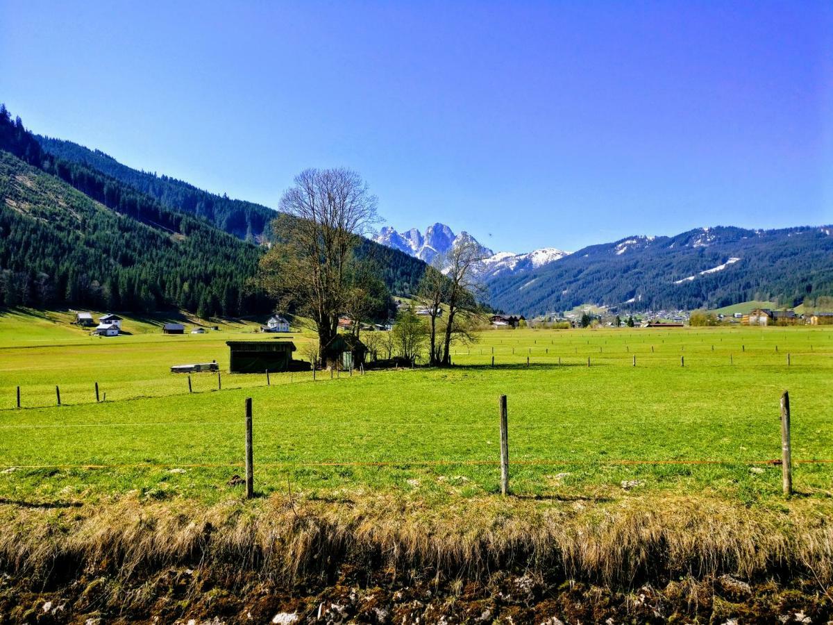 Pension Edelweiss Top 25 Gosau Dış mekan fotoğraf