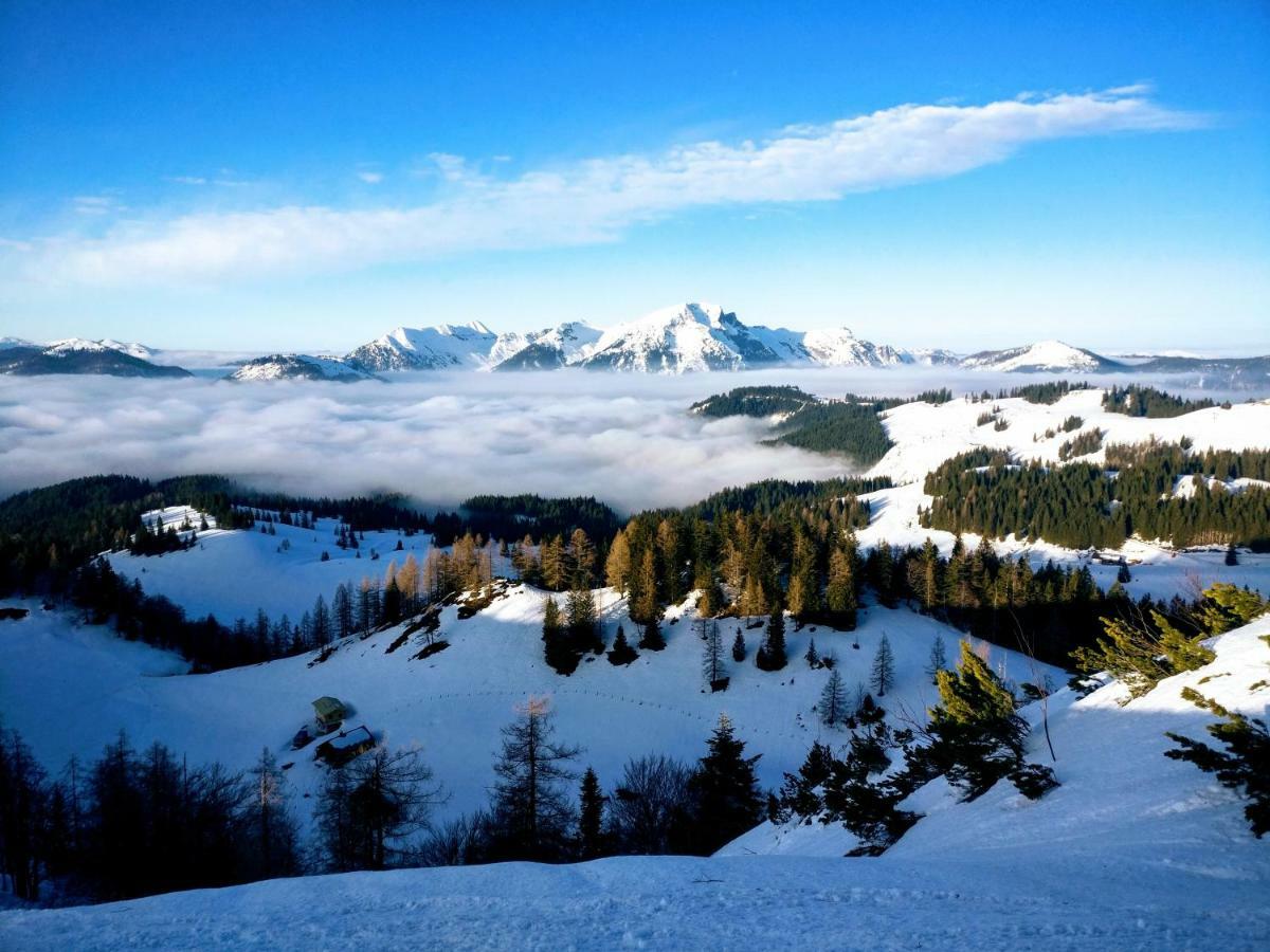 Pension Edelweiss Top 25 Gosau Dış mekan fotoğraf