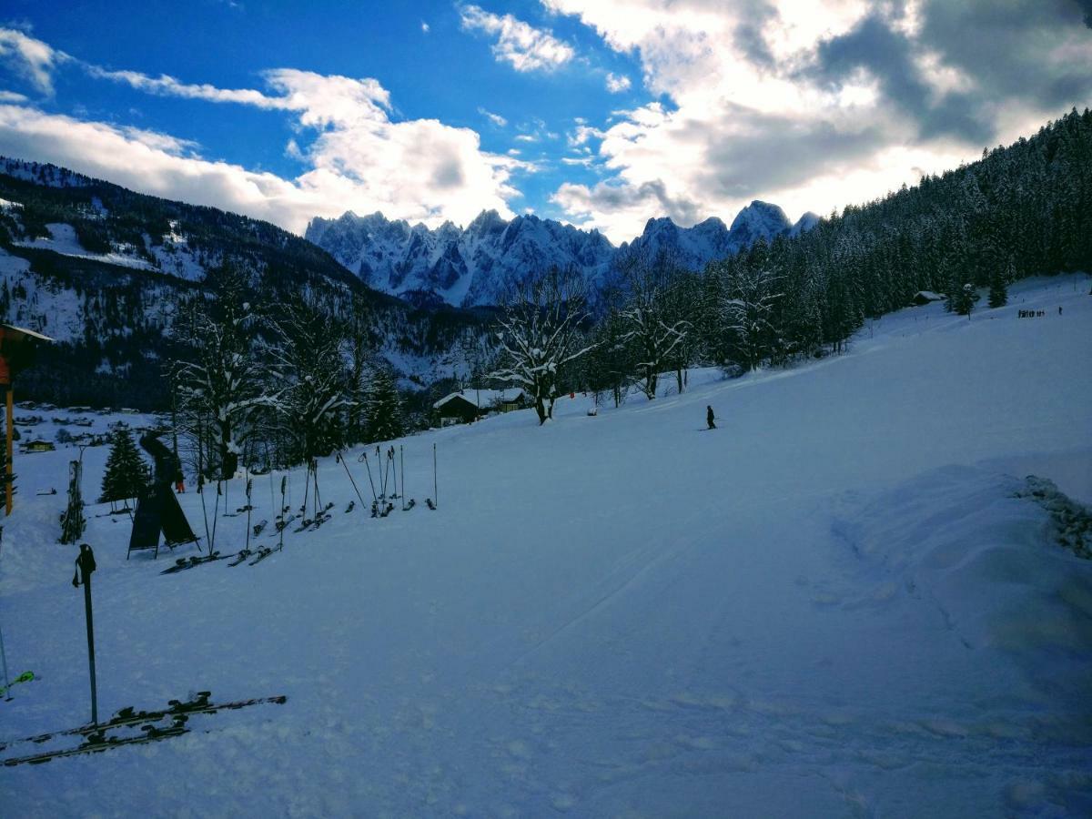 Pension Edelweiss Top 25 Gosau Dış mekan fotoğraf