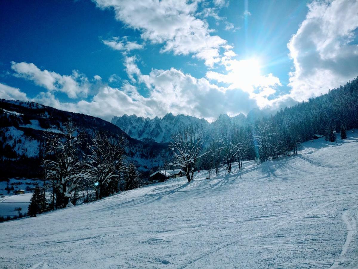 Pension Edelweiss Top 25 Gosau Dış mekan fotoğraf