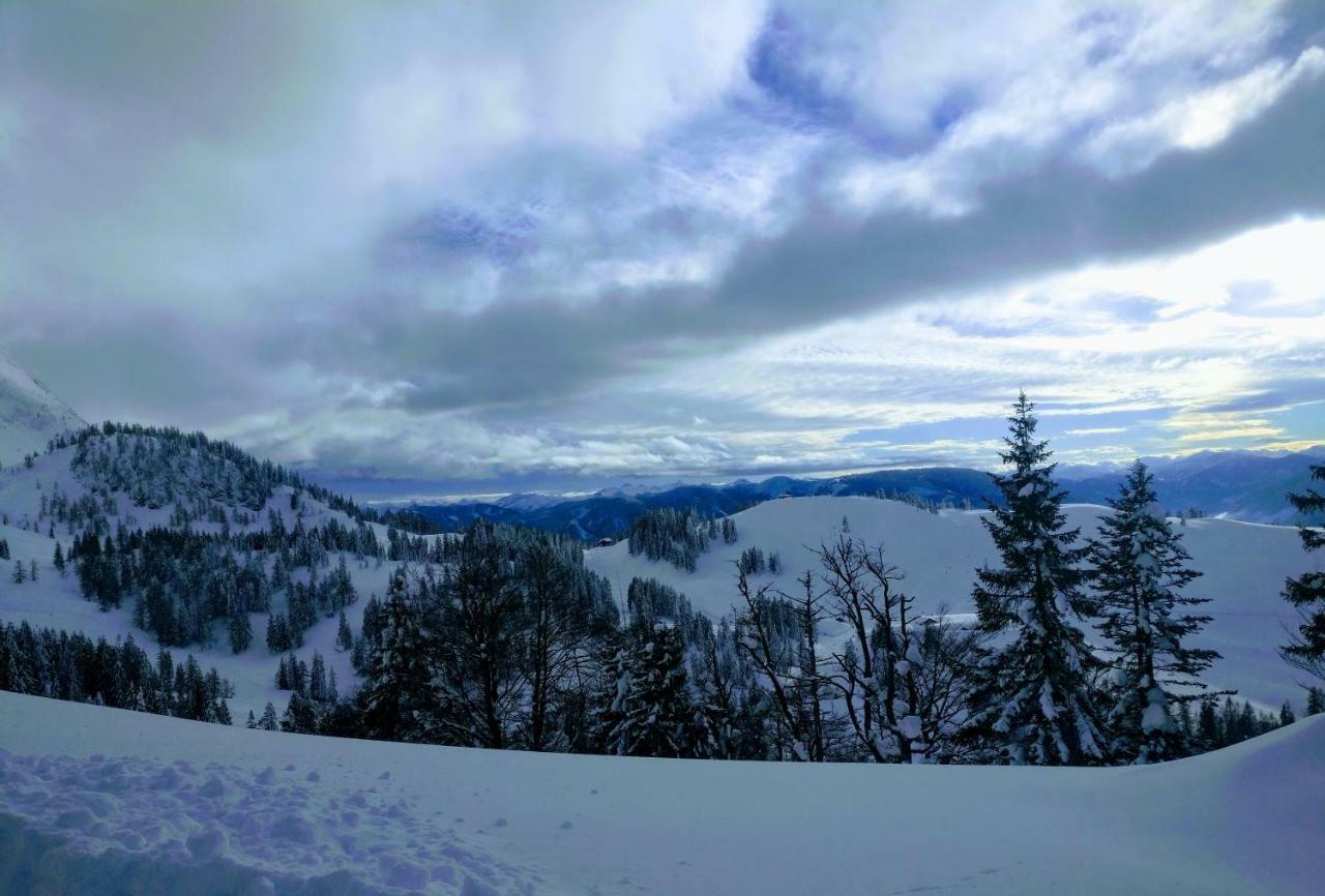 Pension Edelweiss Top 25 Gosau Dış mekan fotoğraf