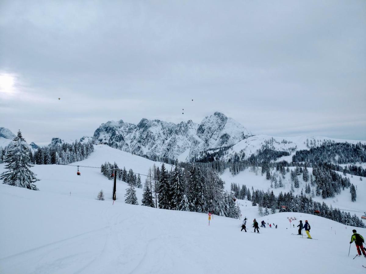 Pension Edelweiss Top 25 Gosau Dış mekan fotoğraf