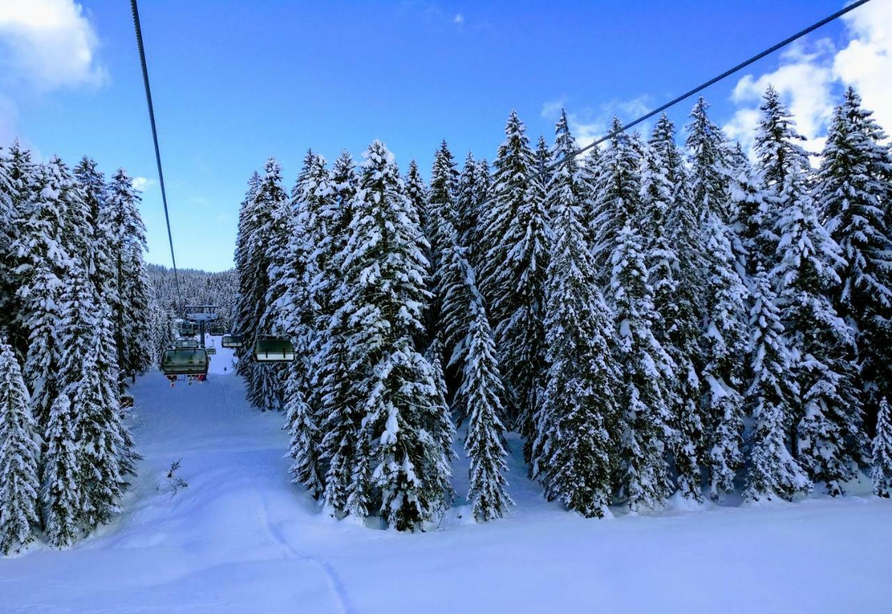 Pension Edelweiss Top 25 Gosau Dış mekan fotoğraf
