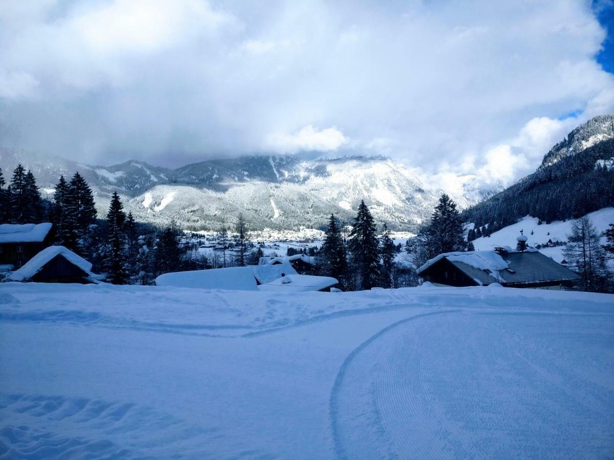 Pension Edelweiss Top 25 Gosau Dış mekan fotoğraf