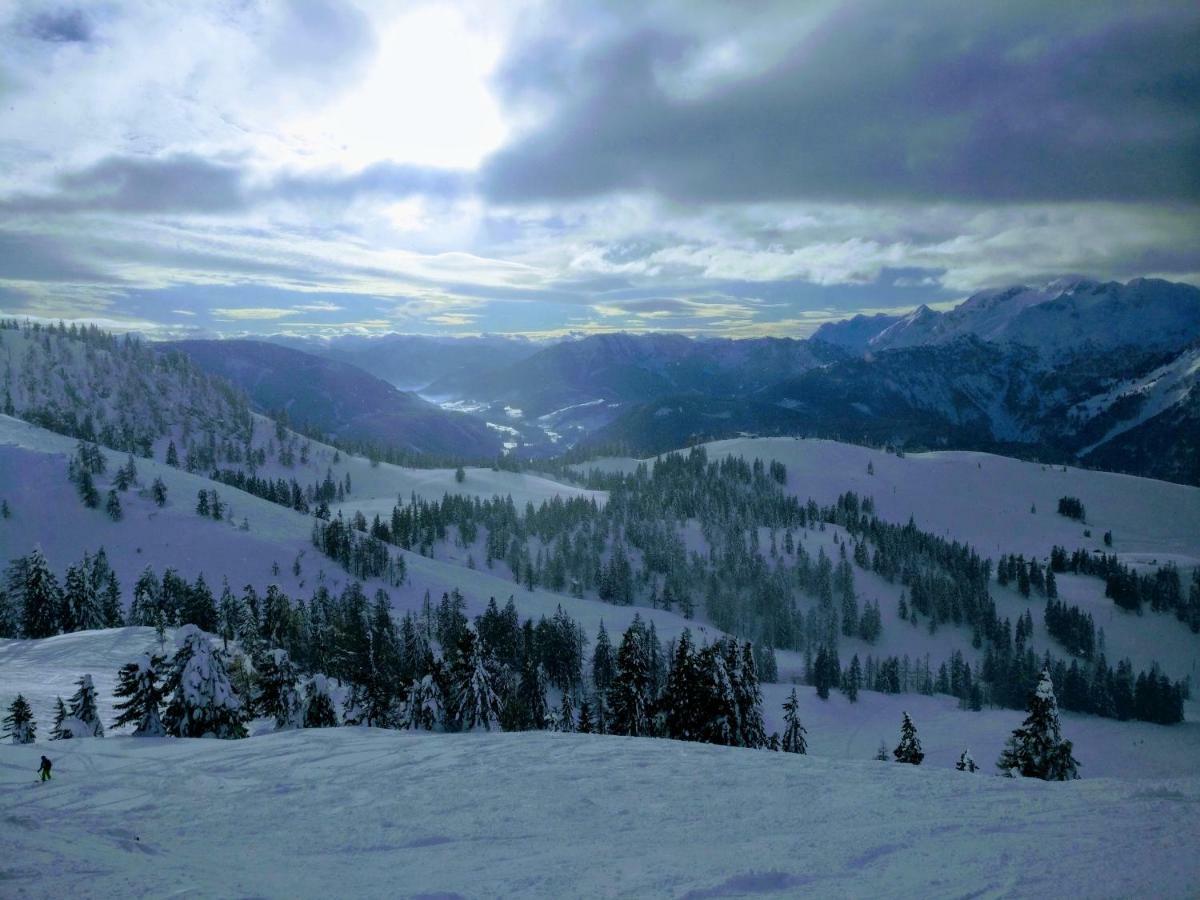 Pension Edelweiss Top 25 Gosau Dış mekan fotoğraf