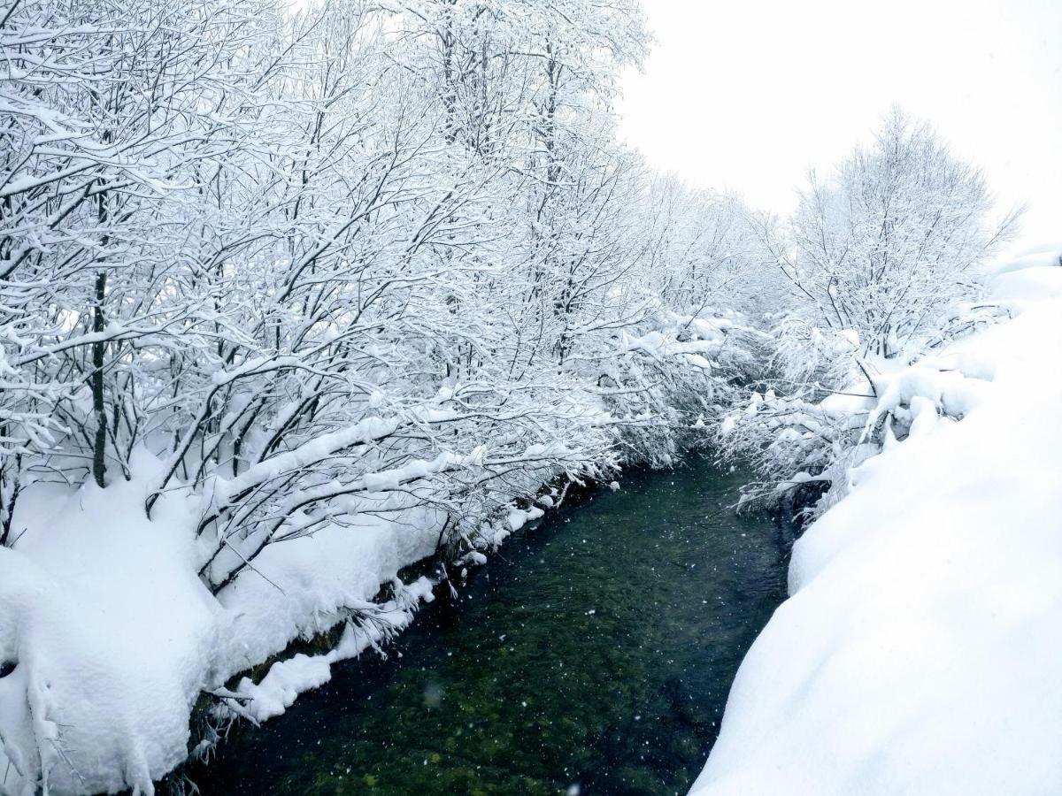 Pension Edelweiss Top 25 Gosau Dış mekan fotoğraf
