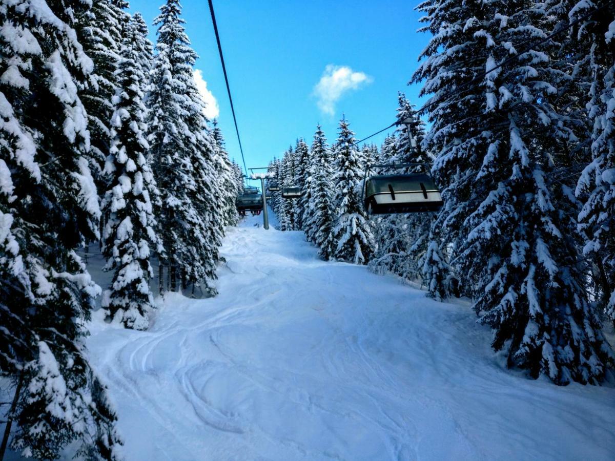 Pension Edelweiss Top 25 Gosau Dış mekan fotoğraf