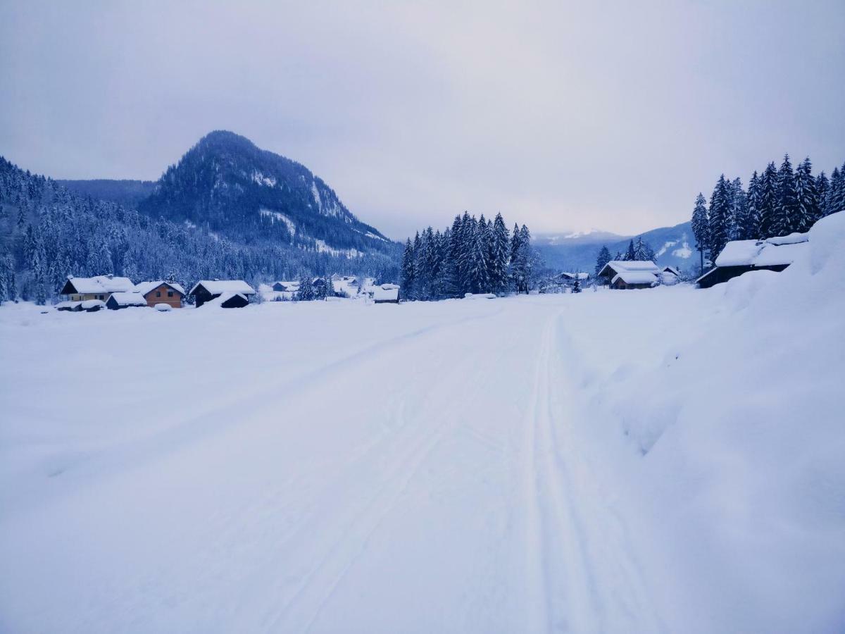 Pension Edelweiss Top 25 Gosau Dış mekan fotoğraf
