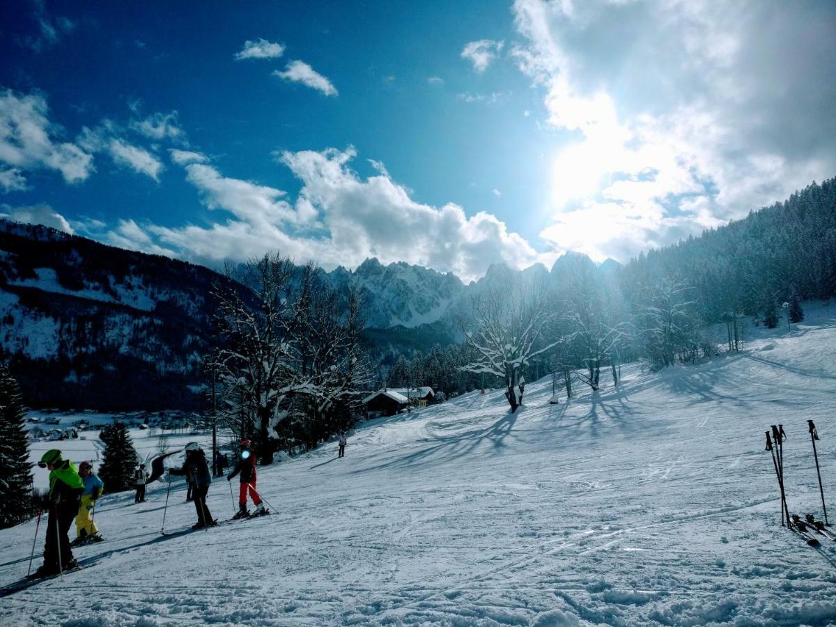 Pension Edelweiss Top 25 Gosau Dış mekan fotoğraf