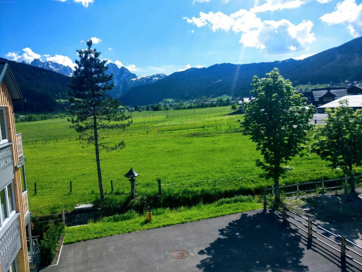 Pension Edelweiss Top 25 Gosau Dış mekan fotoğraf