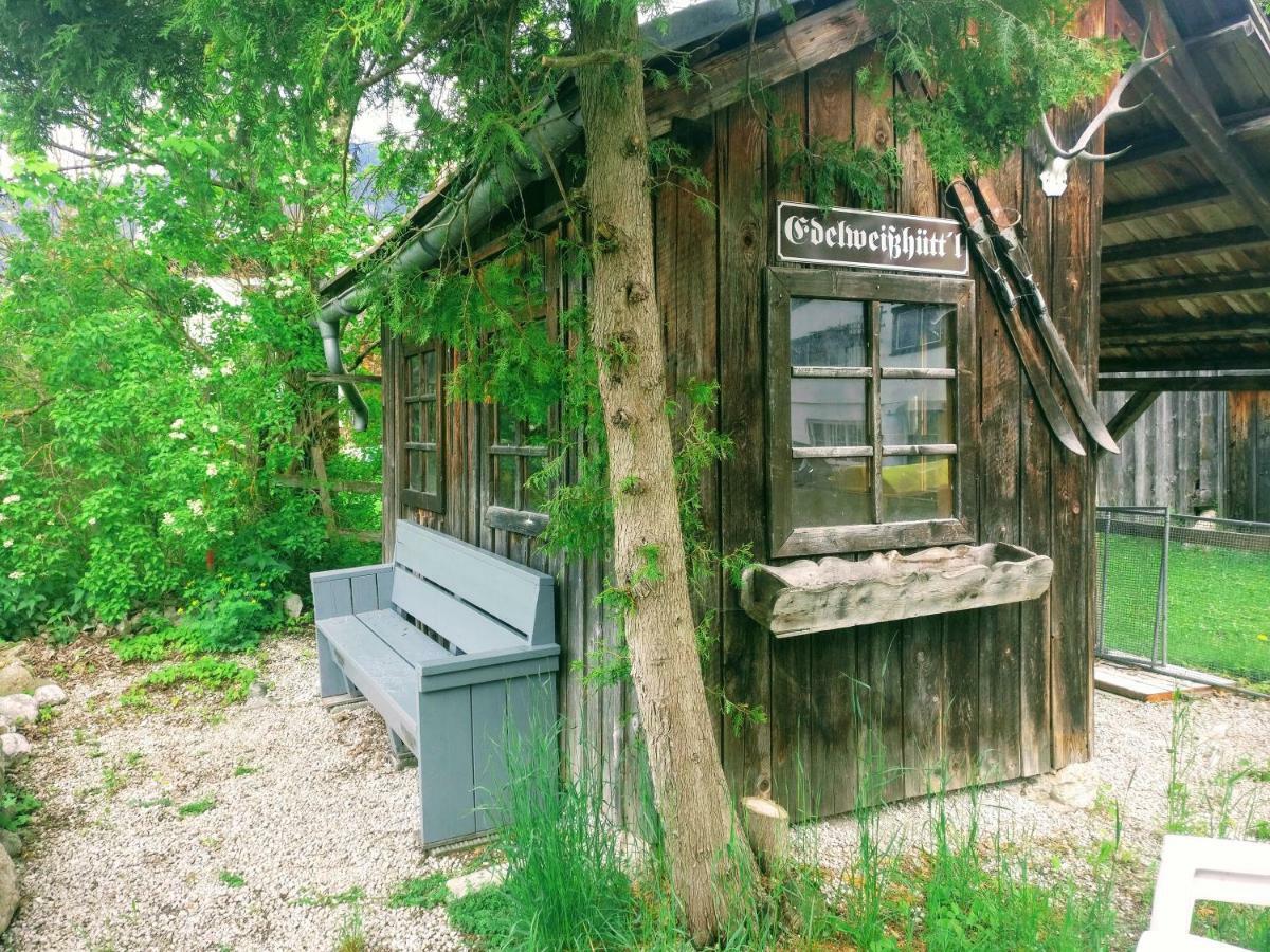 Pension Edelweiss Top 25 Gosau Dış mekan fotoğraf